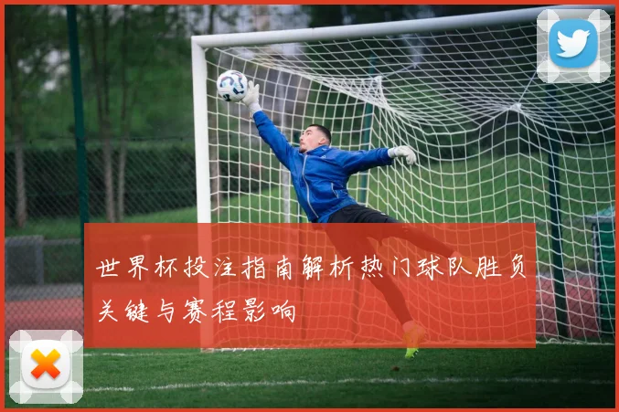 世界杯投注指南解析热门球队胜负关键与赛程影响